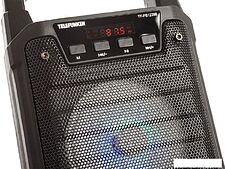 Беспроводная колонка TELEFUNKEN TF-PS1229B