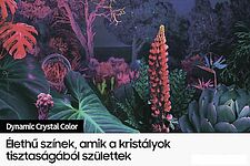 Телевизор Samsung Crystal UHD BU8002 UE55BU8002K