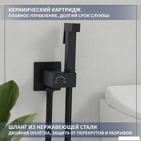 Гигиенический душ Lauter Rainix 21LT7712BM