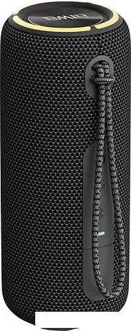 Беспроводная колонка Aiwa PAS-H200 (черный)