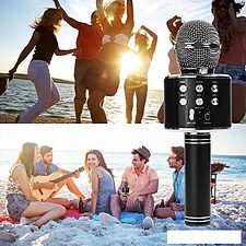 Микрофон Wster WS-858 (черный)