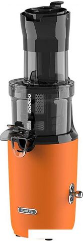 Соковыжималка Garlyn J-300