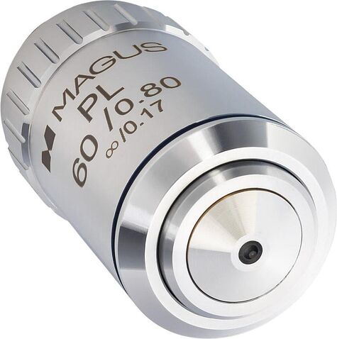 Magus MP60 82914