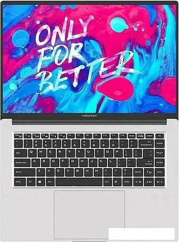 Ноутбук Maibenben P615 P6152SA0LSRE0