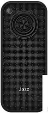 Кнопочный телефон BQ-Mobile BQ-2457 Jazz (черный)