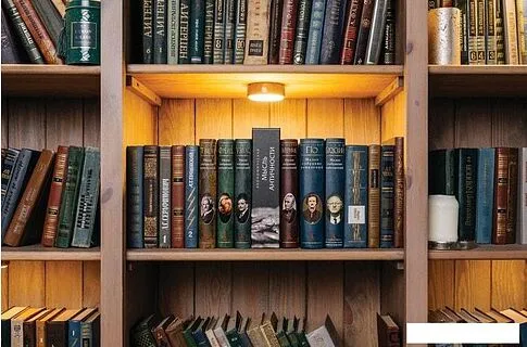 Сейф-книга BRAUBERG Экономическая мысль античности
