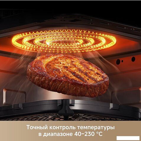 Аэрогриль (аэрофритюрница) Trouver Air Fryer Metalish AF10 Pro (черный)