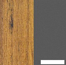 Готовая кухня Интерлиния Мила 24 (дуб золотой-антрацит-дуб бунратти) Готовая кухня Интерлиния Мила 24 (дуб золотой-антрацит-дуб бунратти)