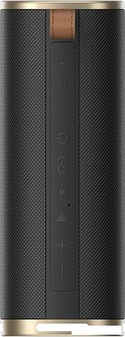 Беспроводная колонка Dreame Bluetooth Speaker S10 (черный)