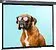 Проекционный экран CACTUS Wallscreen 149x265 CS-PSW-149X265-SG