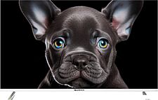 Телевизор Topdevice 43" 4K OS SALUTE TV (белый)