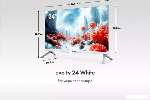 Телевизор Evo TV 24 White TD0051748RU