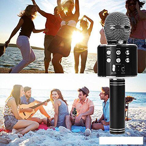 Микрофон Wster WS-858 (черный)