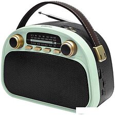 Радиоприемник Ritmix RPR-040 (мятный)