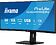 Монитор Iiyama ProLite XCB3497WQSNPH-B1