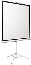 Проекционный экран Digis Kontur-D 206x209 DSKD-1106
