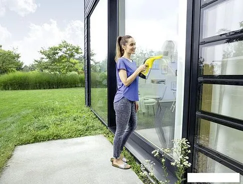 Пылесос Karcher WV 6 Plus