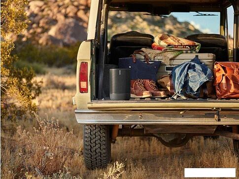 Беспроводная аудиосистема Sonos Move