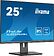 Монитор Iiyama ProLite XUB2595WSU-B5