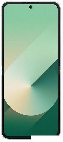 Смартфон Samsung Galaxy Z Flip6 SM-F741B 12GB/512GB (мятный)