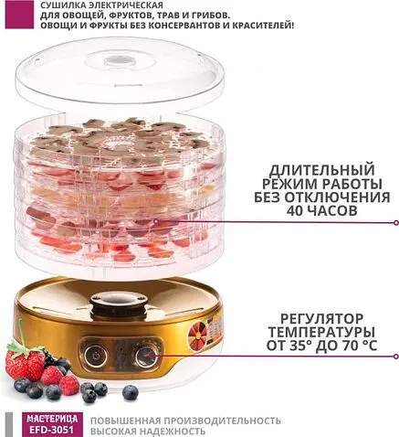 Сушилка для овощей и фруктов Мастерица EFD-3051