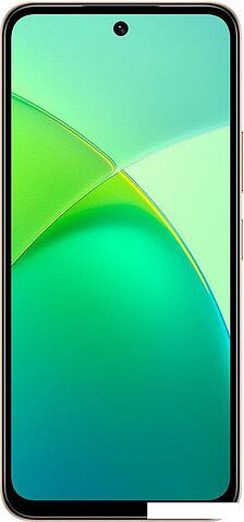Телефон Infinix Smart 10 X6725D 4GB/128GB (золотистый)