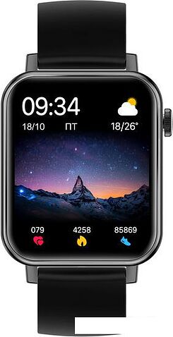 Умные часы SunWind SW40 (черный)