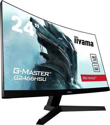 Монитор Iiyama G-Master G2466HSU-B1