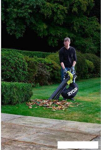 Воздуходувка Ryobi RBV36B [5133002524]