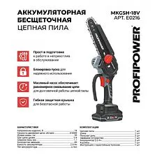 Аккумуляторная пила Profipower MKGSH-18V (с 2-мя АКБ)