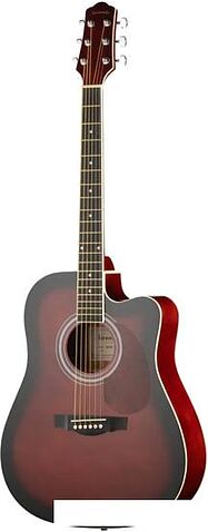 Акустическая гитара Naranda DG120CWRS