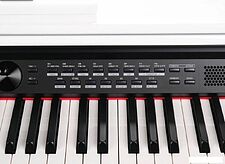 Цифровое пианино Medeli DP330 (белый)