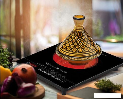 Настольная плита Zigmund & Shtain ZIP-558