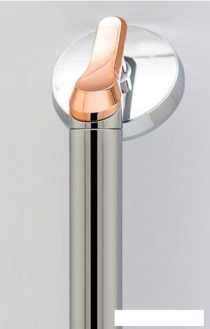 Душевая лейка Aroma Sense AS-PRESTIGE (серебристо-золотистый)