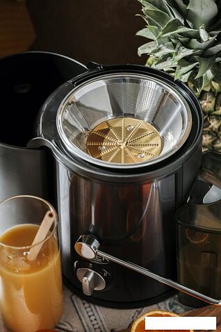 Соковыжималка Adler AD 4132