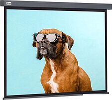 Проекционный экран CACTUS Wallscreen 149x265 CS-PSW-149X265-SG Проекционный экран CACTUS Wallscreen 149x265 CS-PSW-149X265-SG