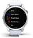 Умные часы Garmin Fenix 7S 42 мм (серебристый/белый)