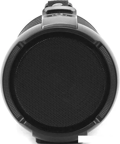 Беспроводная колонка TELEFUNKEN TF-PS1243B