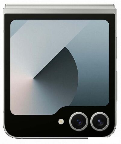 Смартфон Samsung Galaxy Z Flip6 SM-F741B 12GB/256GB (серый)