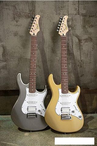 Электрогитара Cort G250 SVM