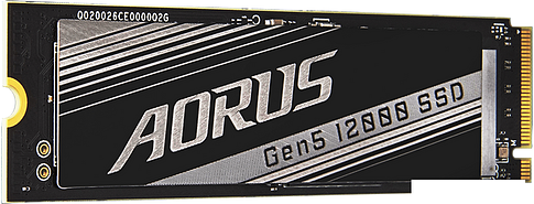 SSD Gigabyte AORUS Gen5 12000 2TB AG512K2TB