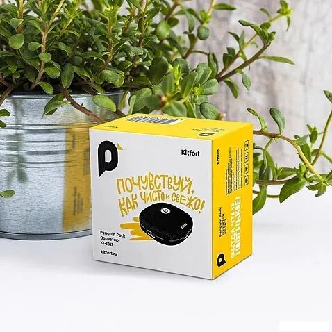 Озонатор Kitfort KT-3817