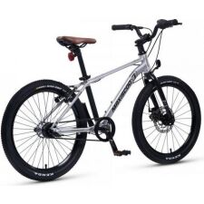 Детский велосипед Maxiscoo 7Bike 20 M700 2024 (серебристый)