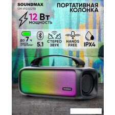 Беспроводная колонка Soundmax SM-PS5021B (черный)