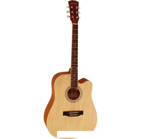 Акустическая гитара Elitaro E4120 N