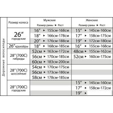 Велосипед Stinger Gravix Evo 56см 2023