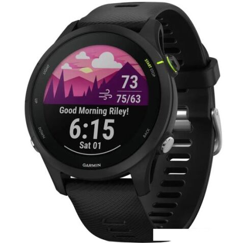 Умные часы Garmin Forerunner 255 Music 46 мм (черный)