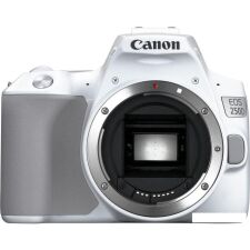 Зеркальный фотоаппарат Canon EOS 250D Kit 18-55 IS STM (белый)