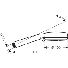 Душевая лейка Hansgrohe Crometta 100 Multi [26823400]