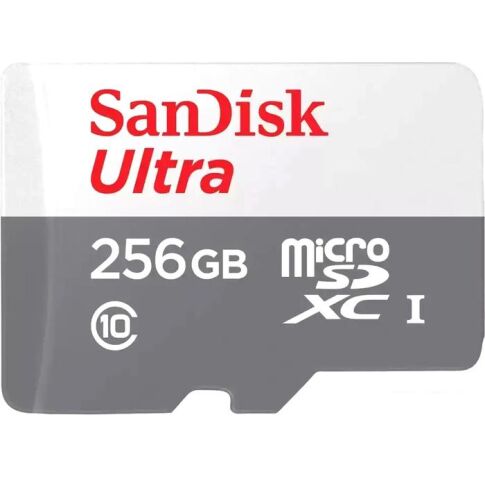 Карта памяти SanDisk Ultra microSDXC SDSQUNR-256G-GN3MN 256GB